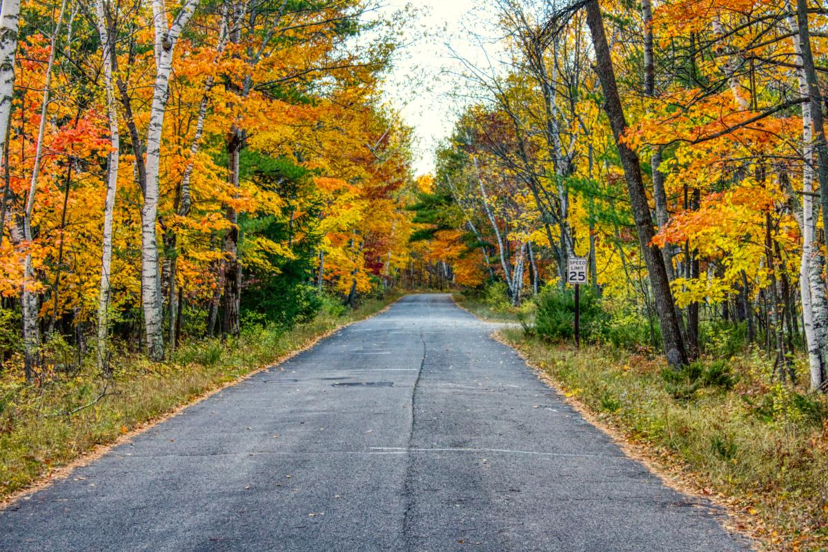 Beautiful fall colors along a quiet country road in Door County, Wisconsin