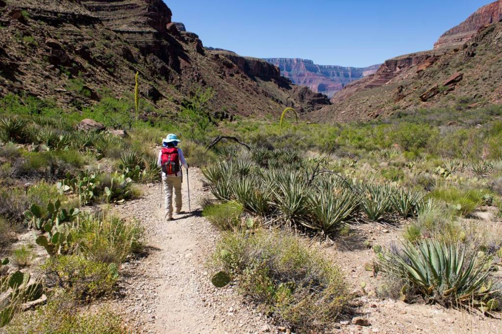 Hiking through the Grand Canyon