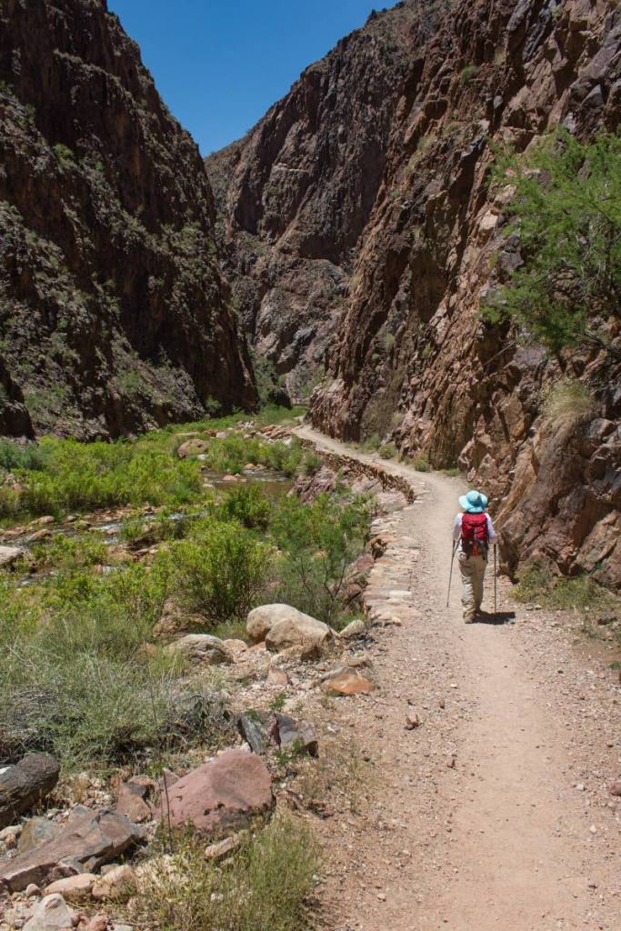 Hiking through The Box area of the Grand Canyon, as the trail follows a creek with steep canyon walls on either side.