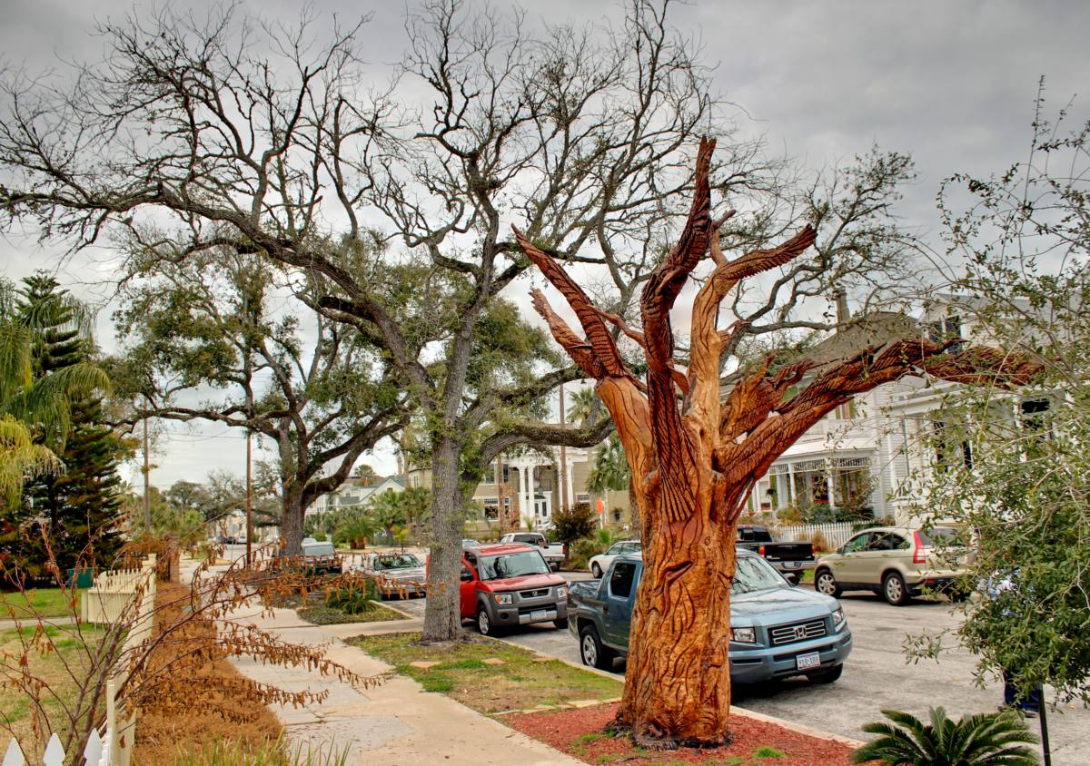 Sculpture made from a tree damaged by Hurricane Ike in Galveston, Texas.
