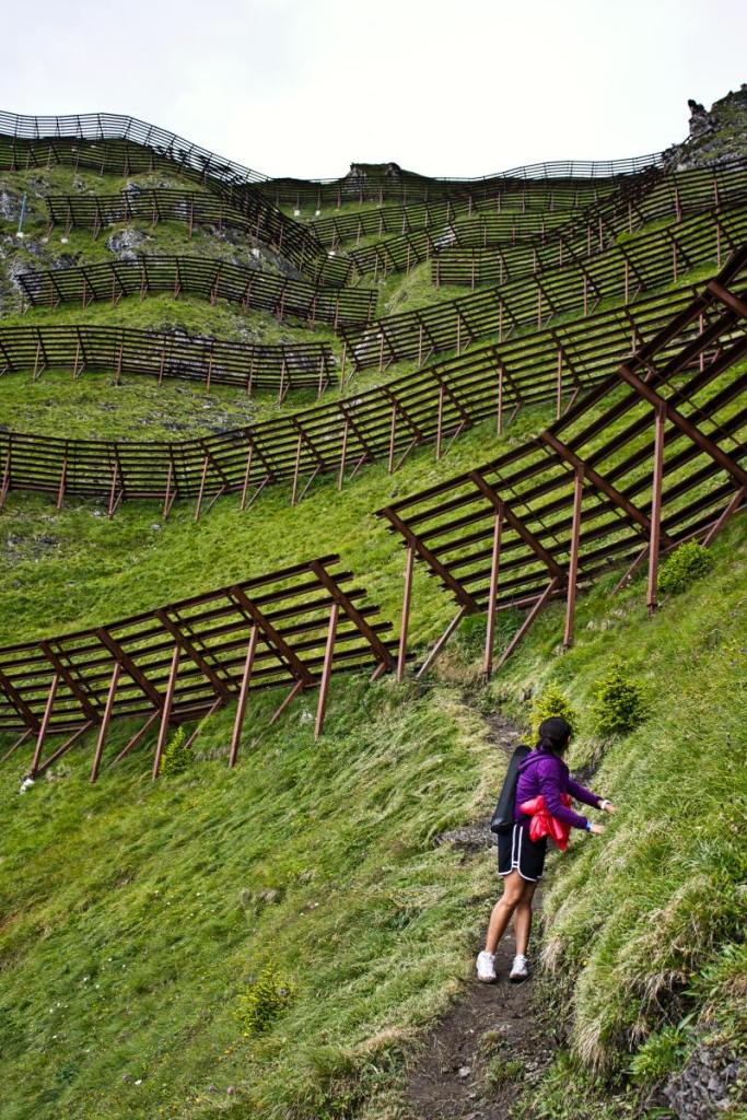 Looking up towards the avalanche barriers below Männlichen while along the trail towards Wengen.