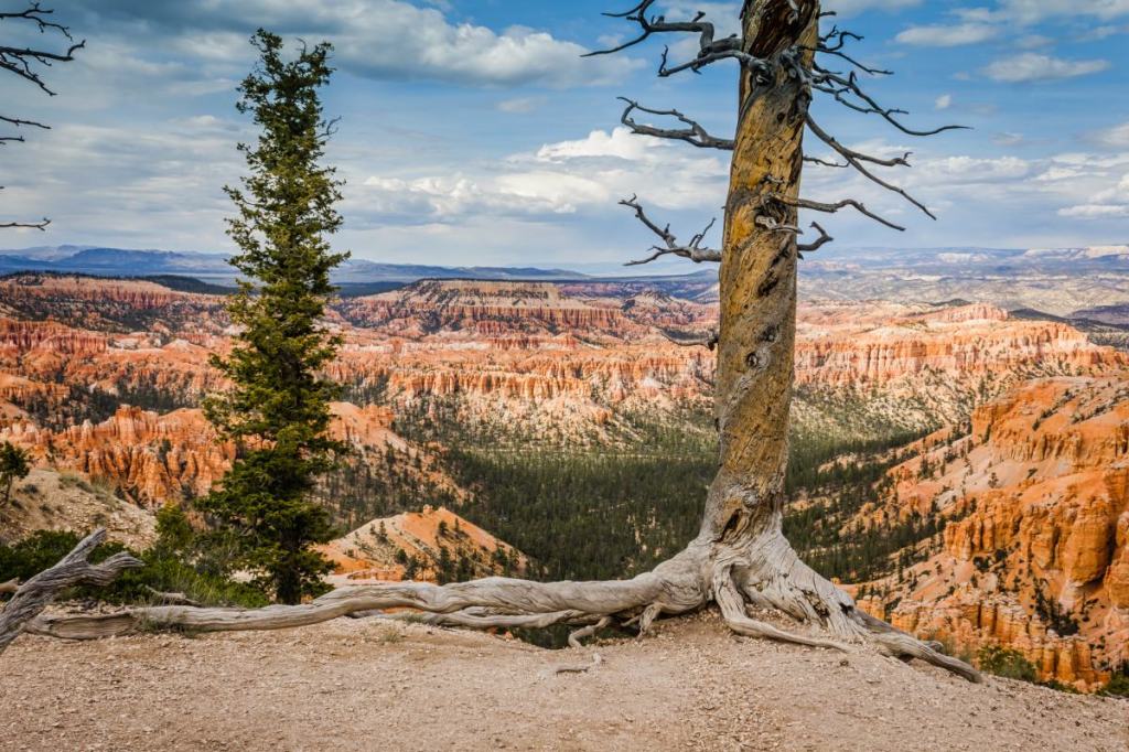 View of the main amphitheater of Bryce Canyon National Park in Utah.