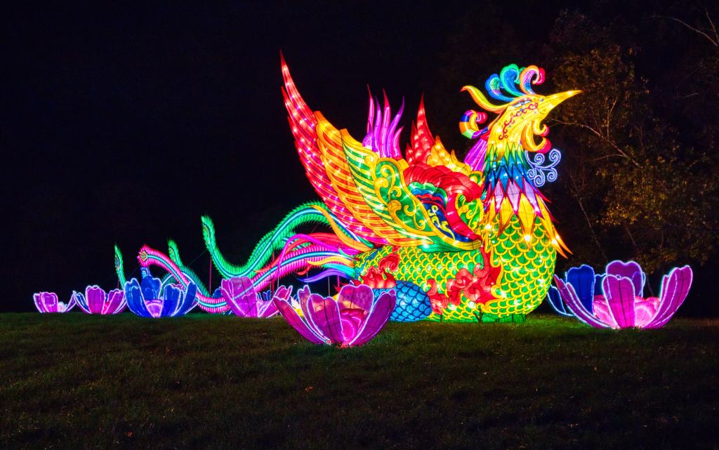 Phoenix traditional Chinese lantern