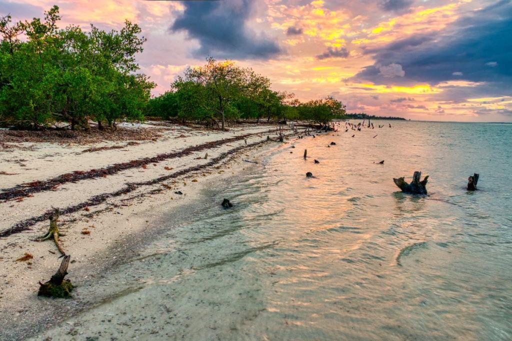 Sunset on a beach in Holbox, Mexico.