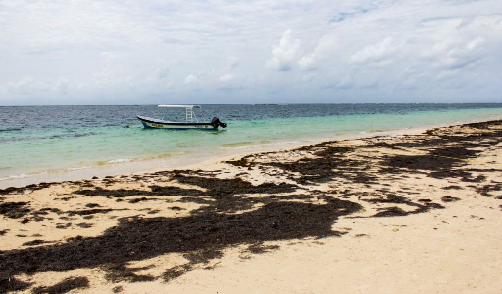 Boat in the water along the beach in Puerto Morelos, Mexico.