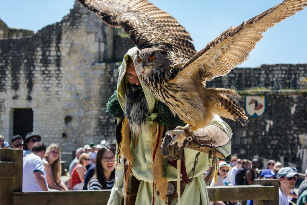 Impressive bird with its falconer during the Eagles of the Ramparts show in Provins, France.