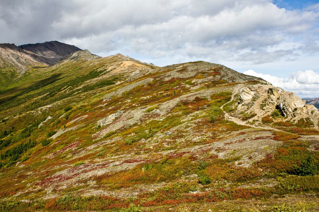 View from near the top of Mount Healy in Denali National Park